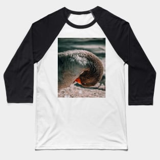 Lake Goose Wildlife Nature Photography Baseball T-Shirt